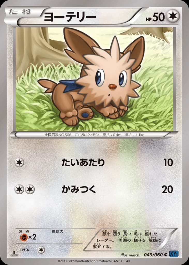Lillipup (49)