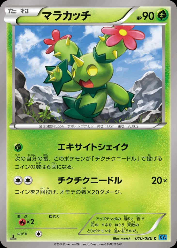 Maractus (10)