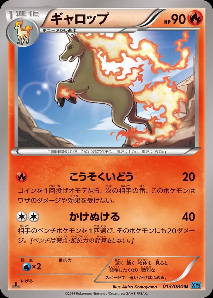 Rapidash (13)