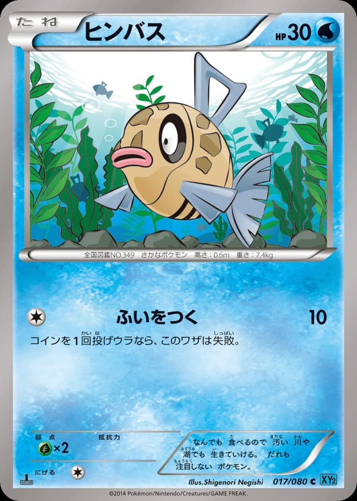 Feebas (17)