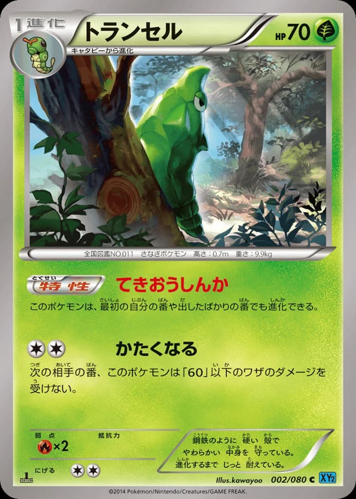 Metapod (2)