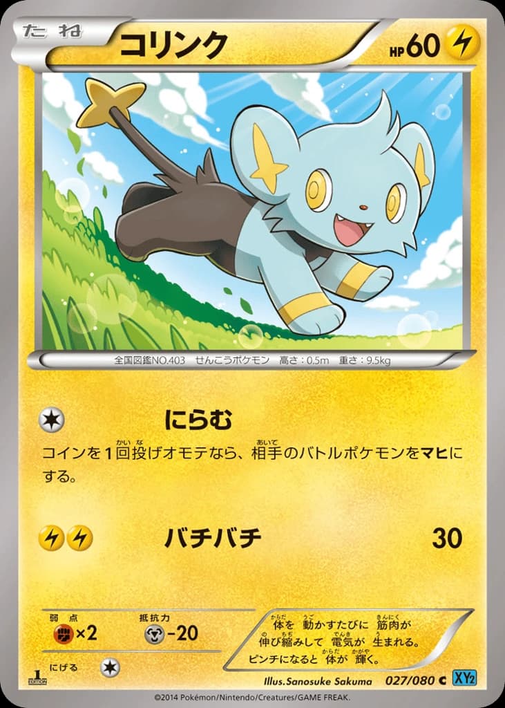 Shinx (27)