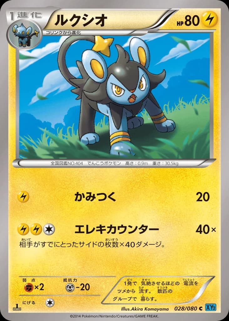 Luxio (28)