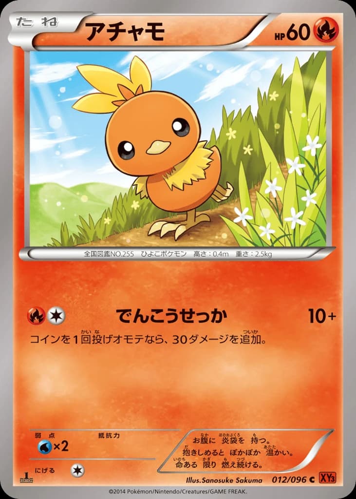 Torchic (12)