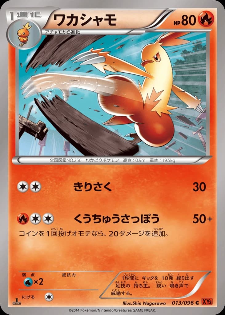 Combusken (13)