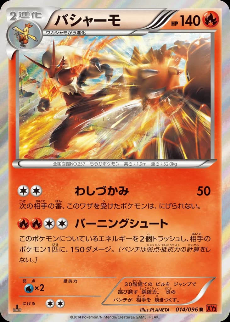 Blaziken (14)