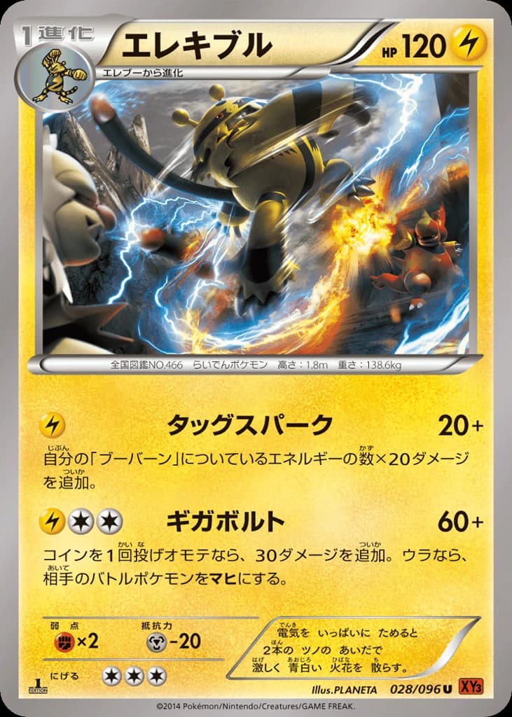 Electivire (28)