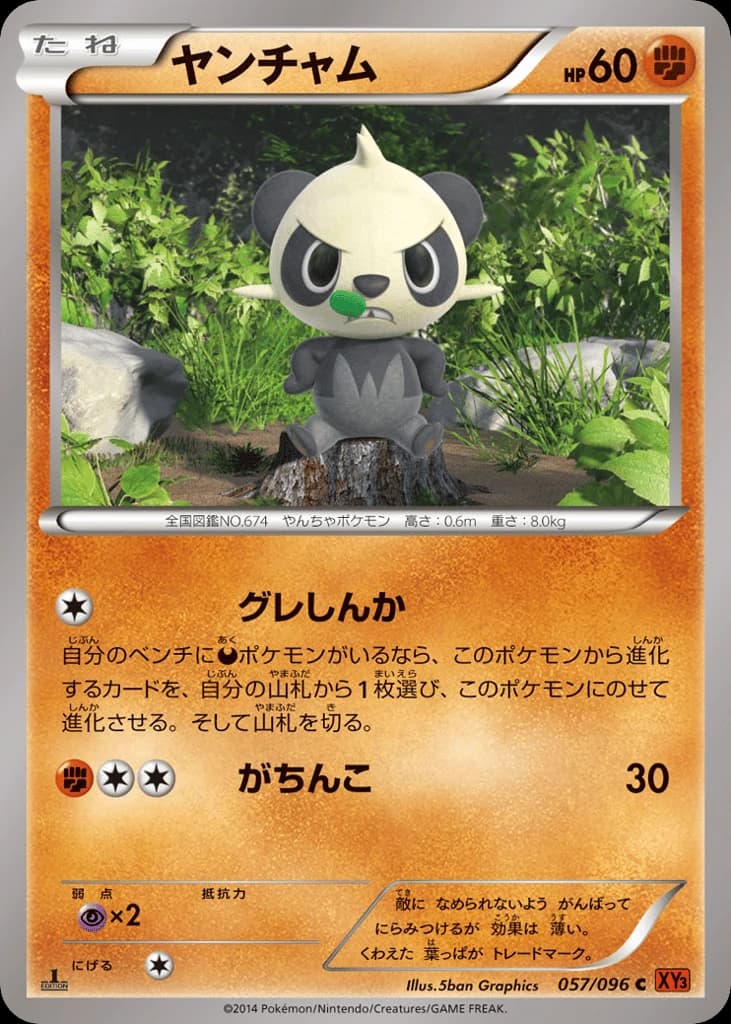 Pancham (57)