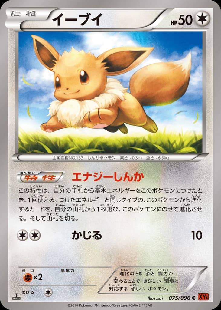 Eevee (75)