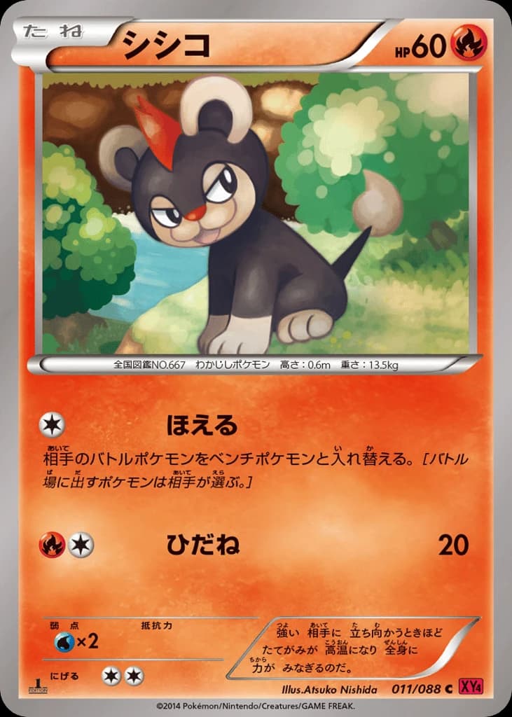 Litleo (11)