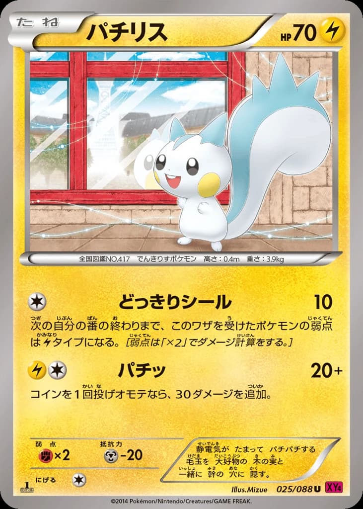 Pachirisu (25)