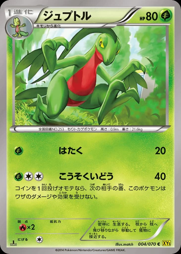 Grovyle (4)