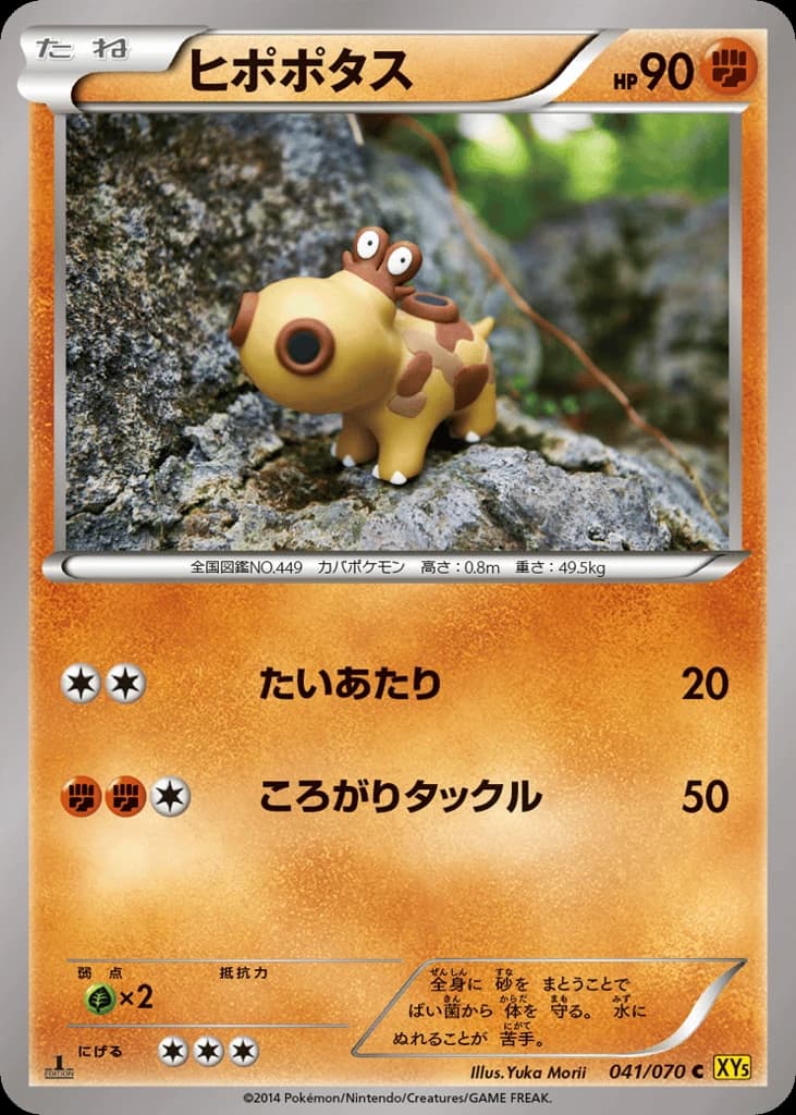 Hippopotas (41)