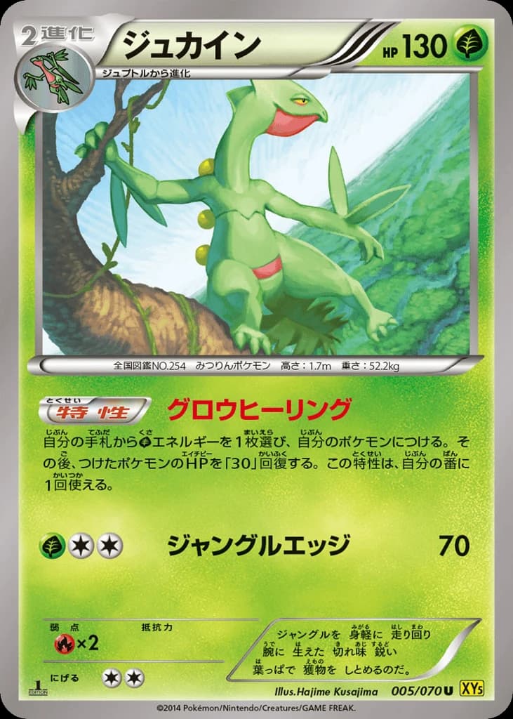 Sceptile (5)