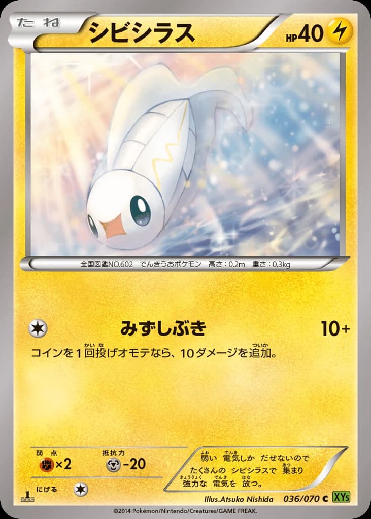 Tynamo (36)