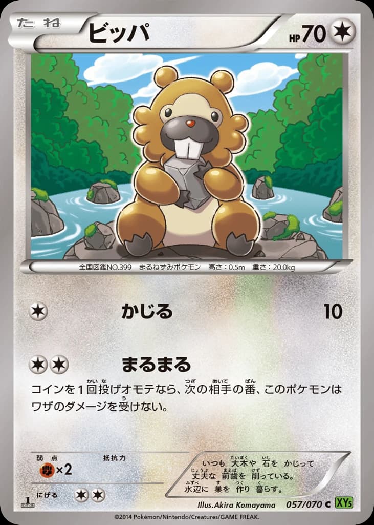 Bidoof (57)