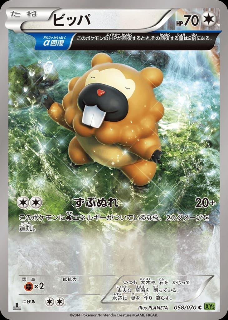 Bidoof (58)