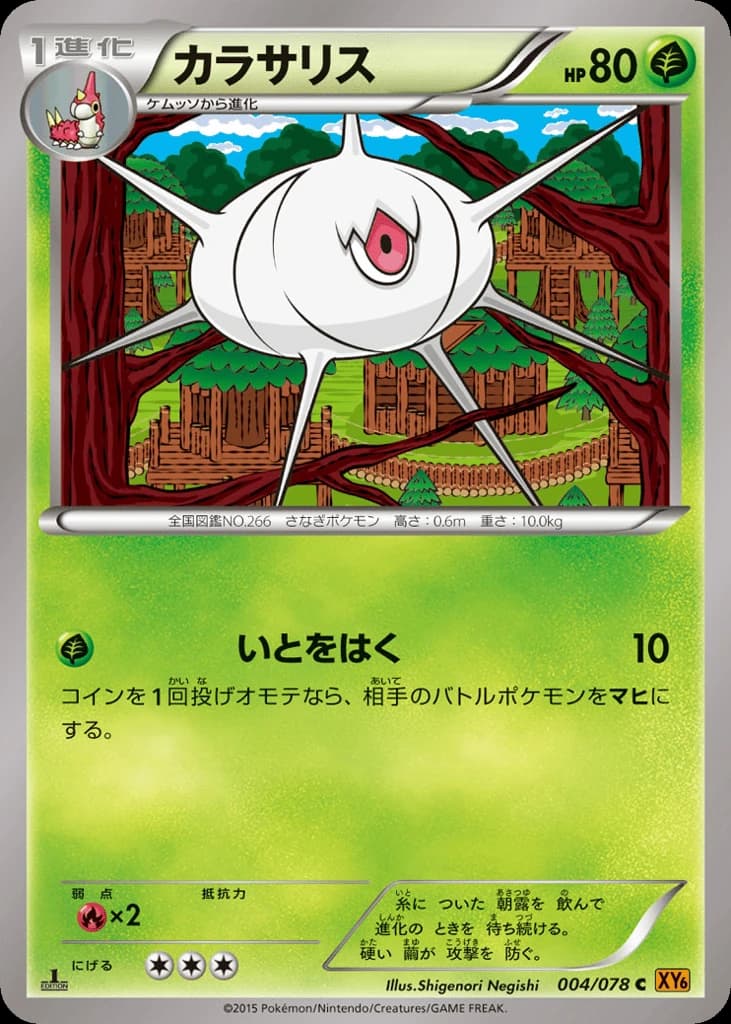 Silcoon (4)