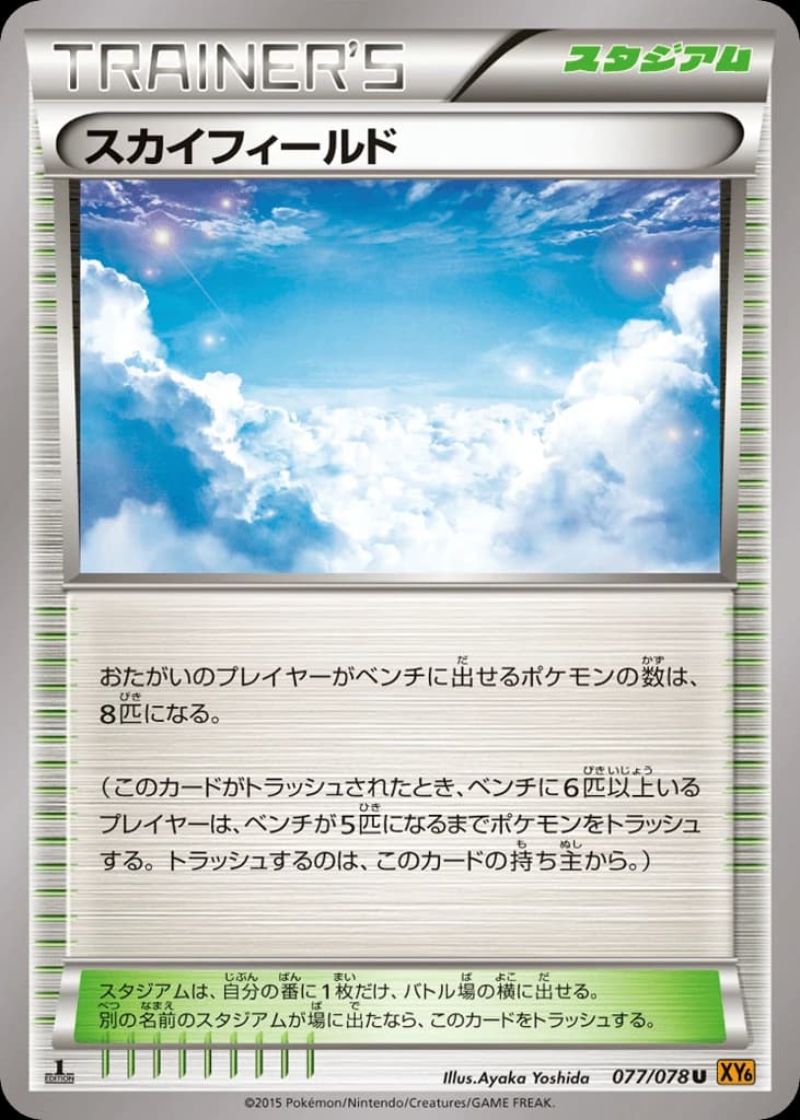 Sky Field (77)