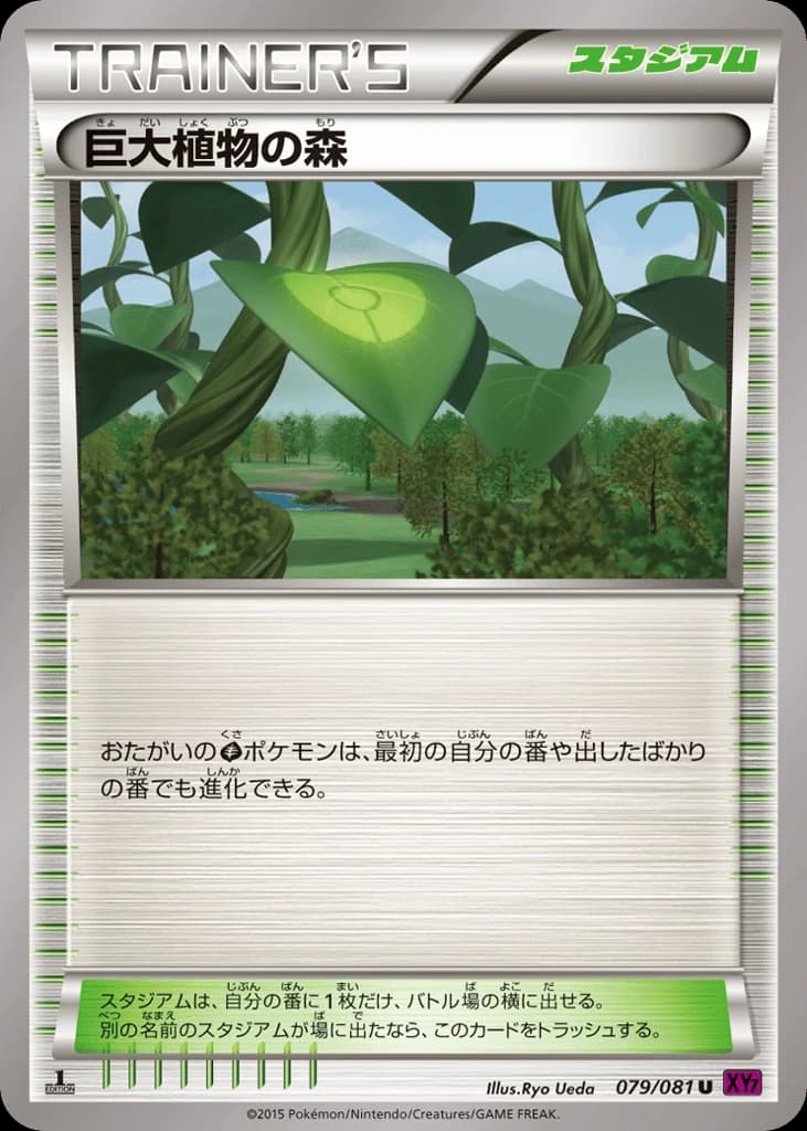 Forest of Giant Plants (79)