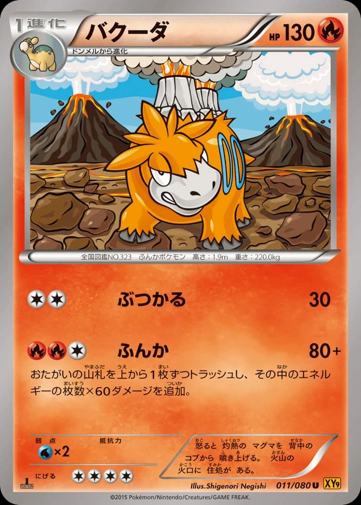 Camerupt (11)