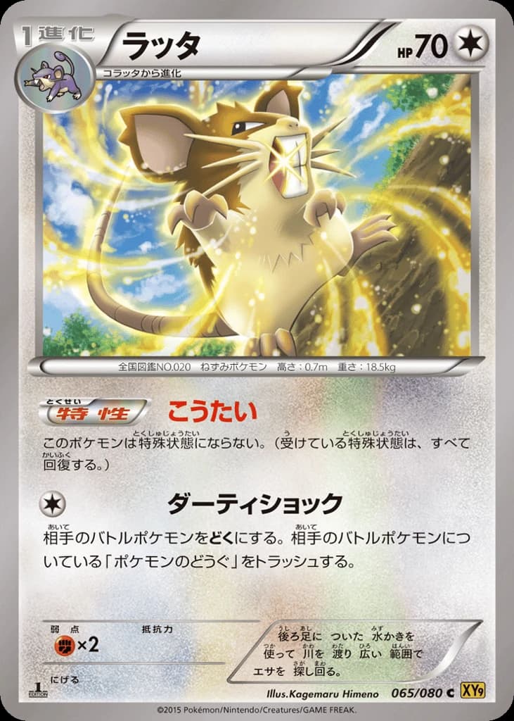 Raticate (65)
