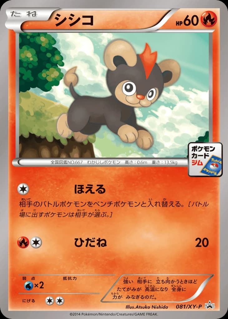 Litleo (81)