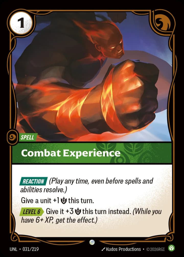 Combat Experience (031/219)