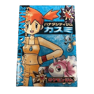 Hanada City Gym Kasumi