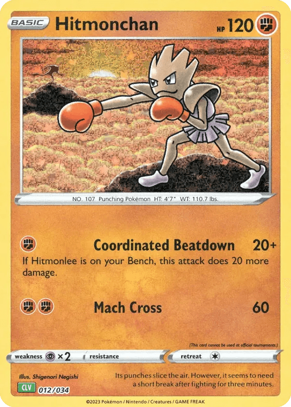 Hitmonchan (12)