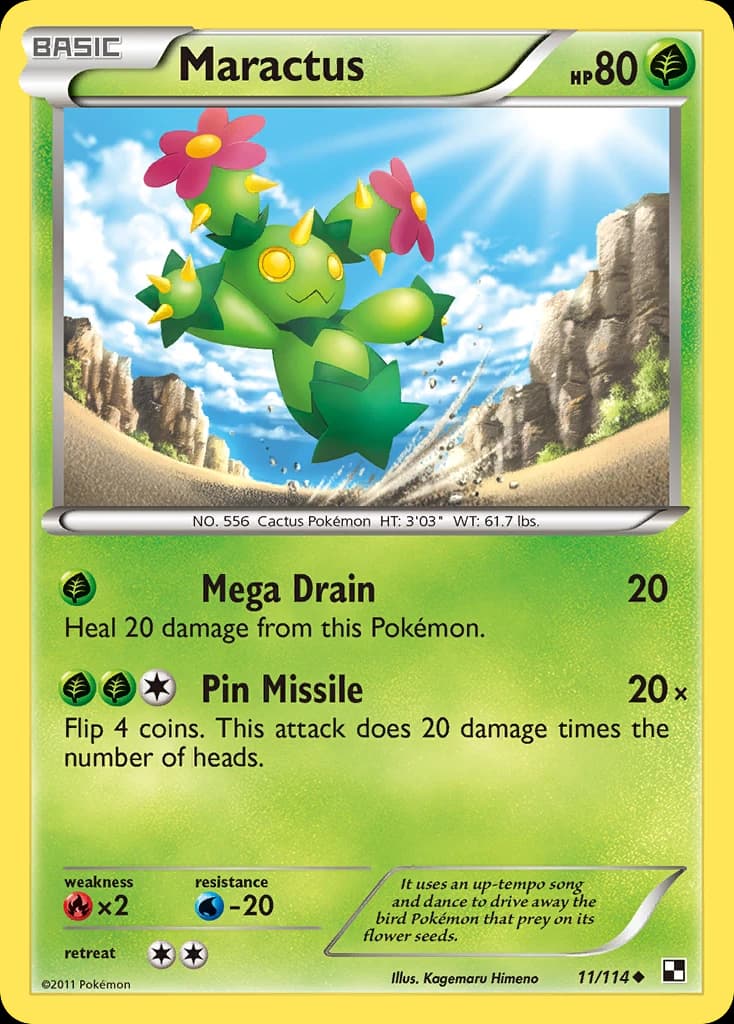 Maractus (11)