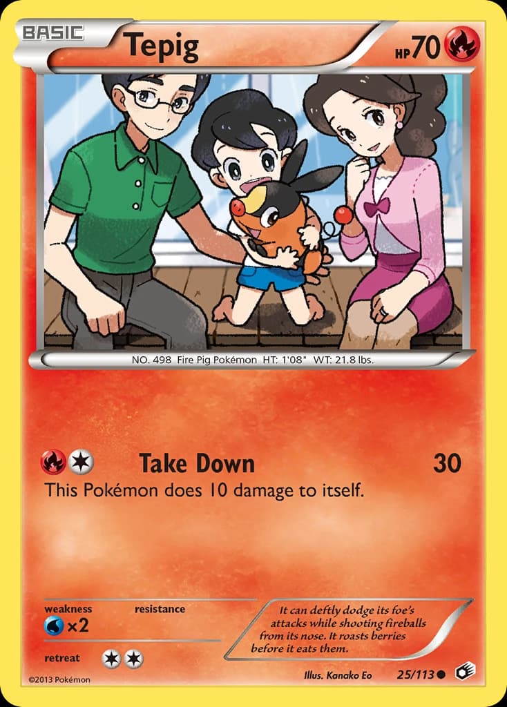 Tepig (25)