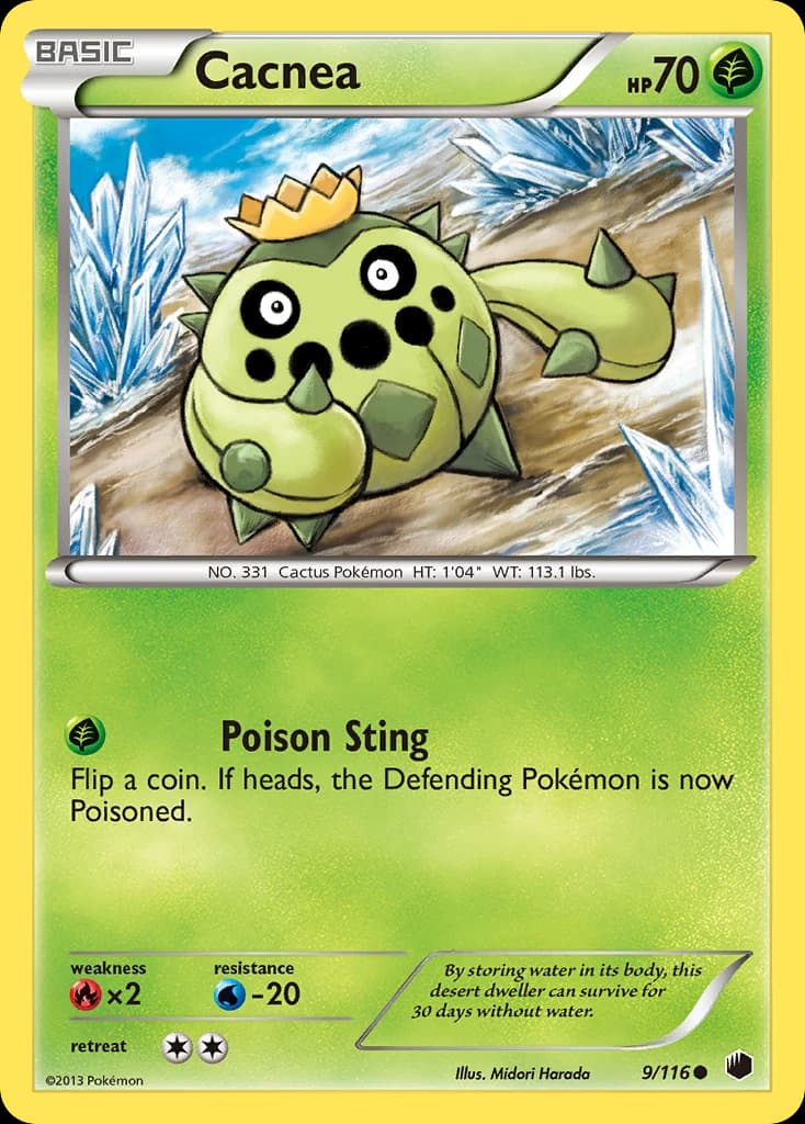 Cacnea (9)
