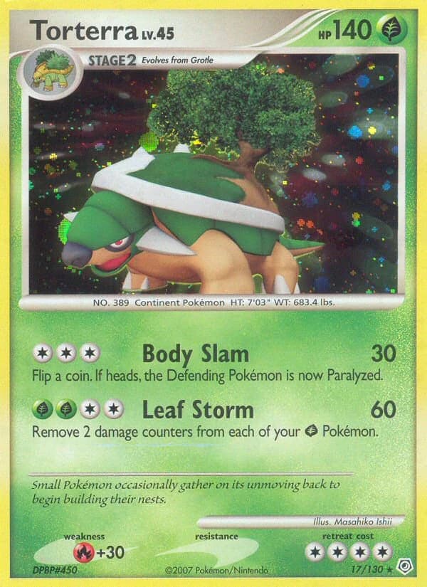 Torterra (17)