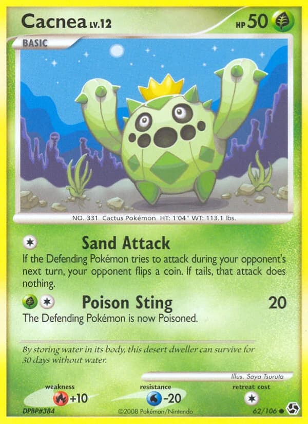 Cacnea (62)