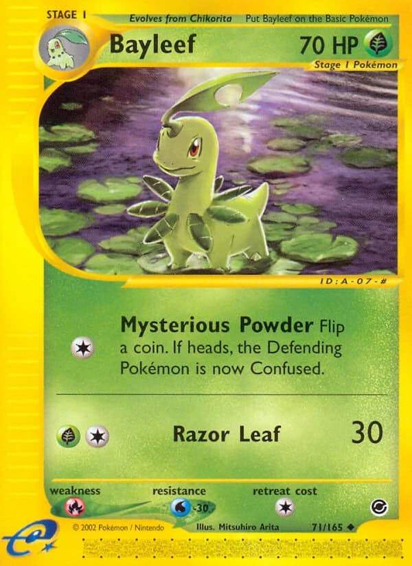 Bayleef (71)