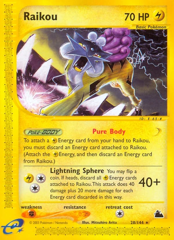 Raikou (28)