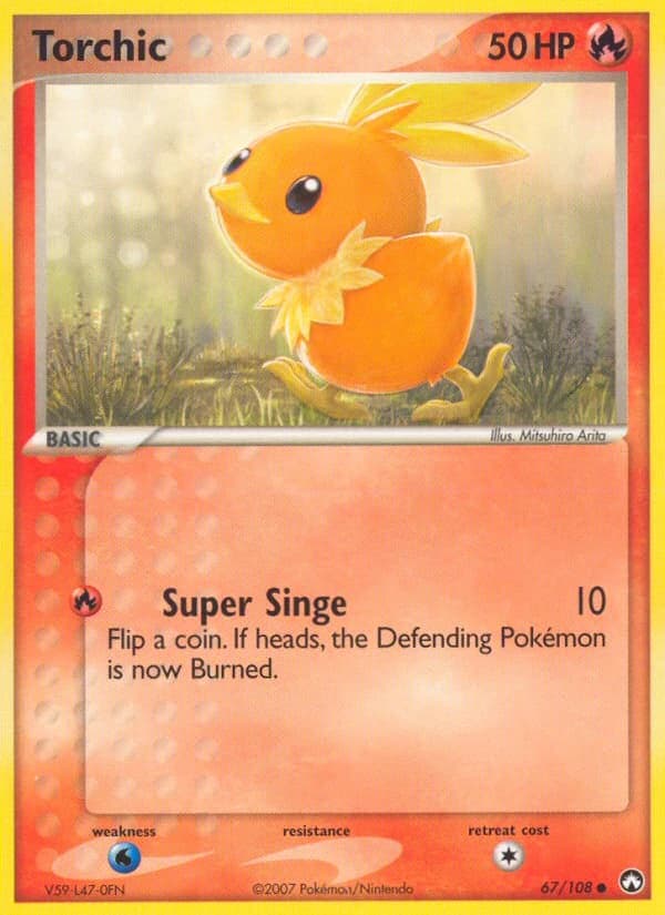 Torchic (67)