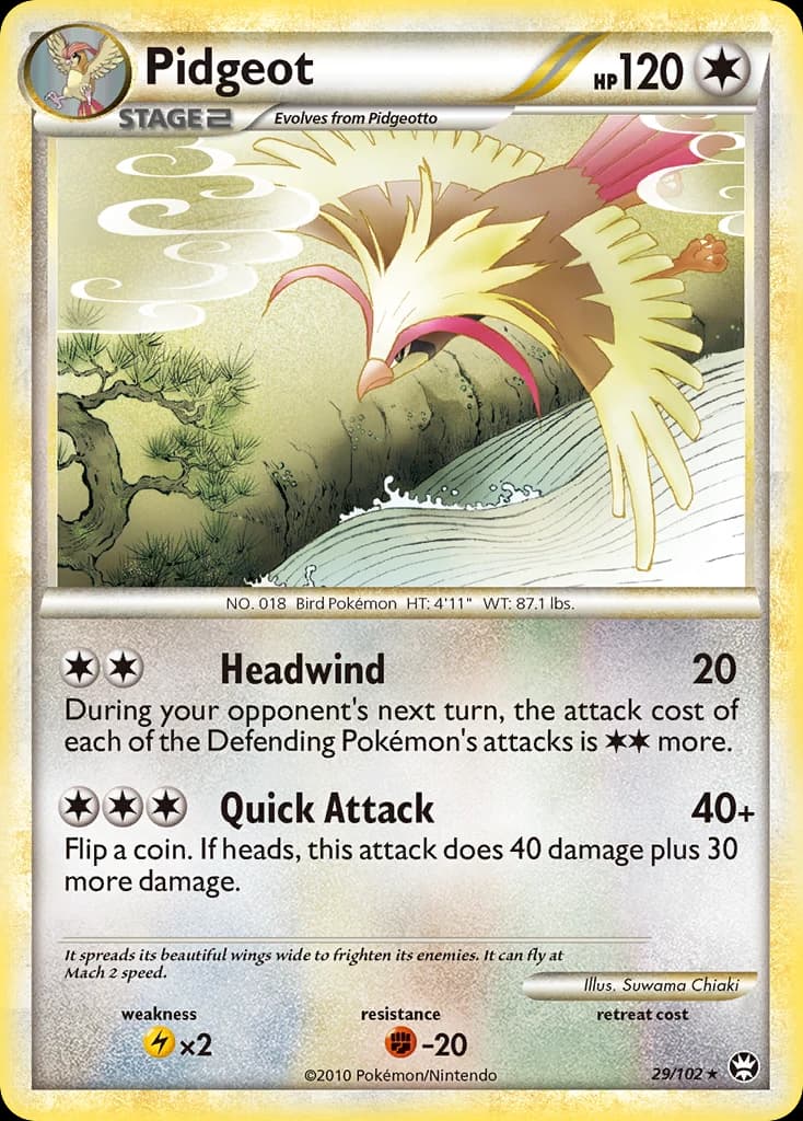 Pidgeot (29)
