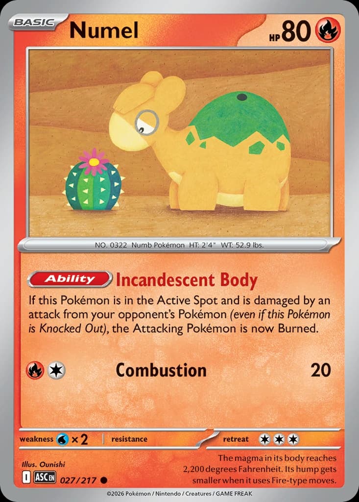 Numel (27)