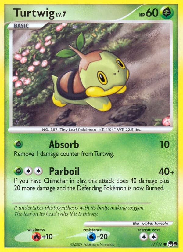 Turtwig (17)