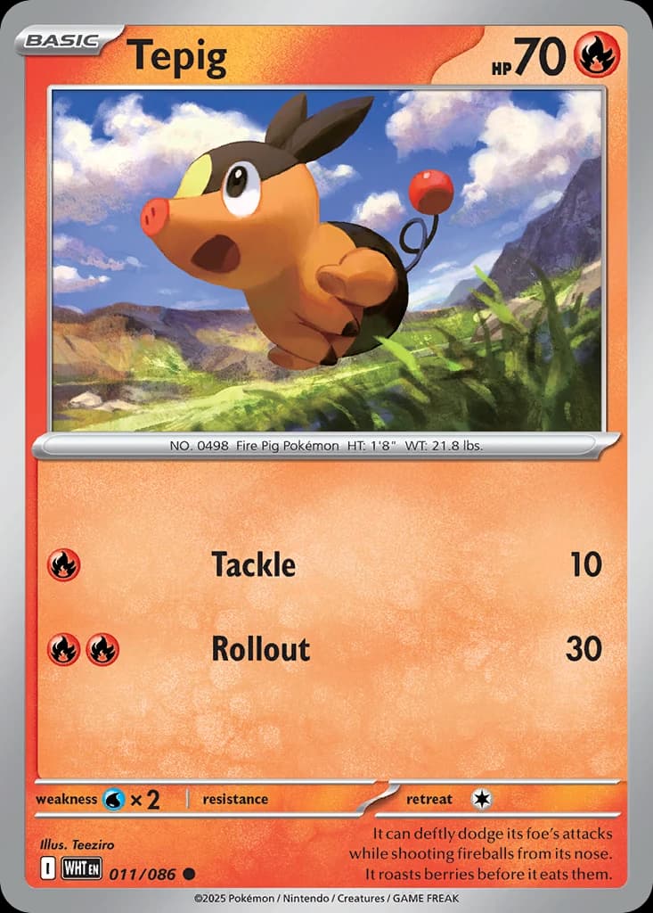 Tepig (11)