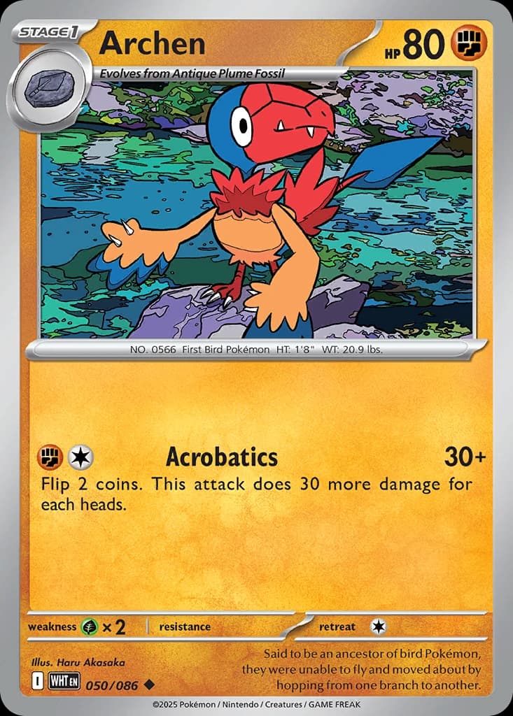 Archen (50)