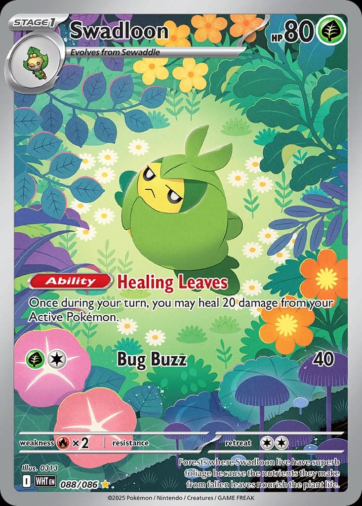 Swadloon (88)