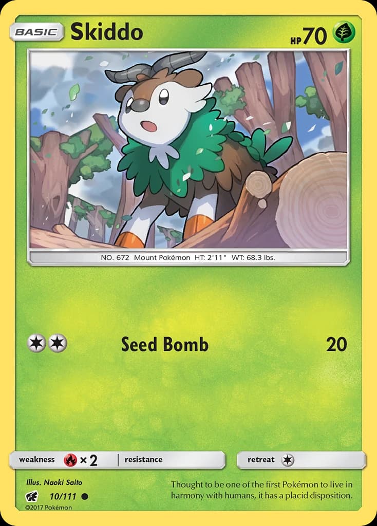 Skiddo (10)