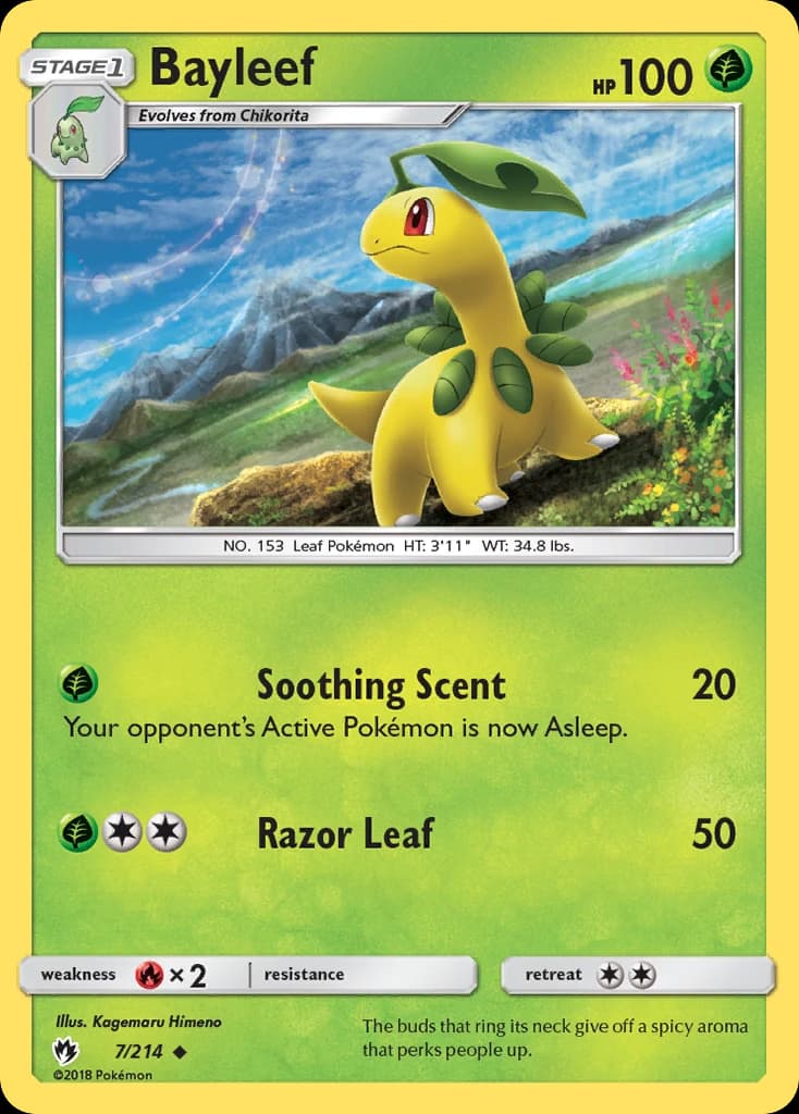 Bayleef (7)