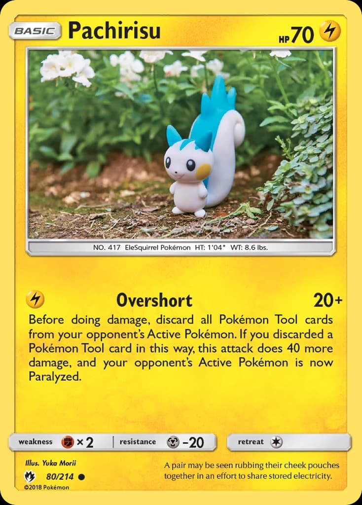 Pachirisu (80)