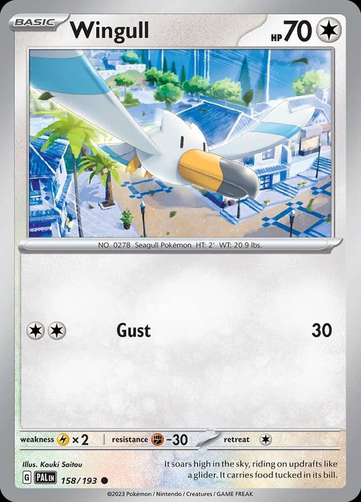 Wingull (158)