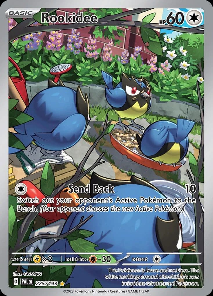 Rookidee (225)