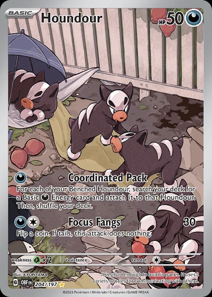 Houndour (204)